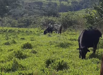 Fazenda no Município de Cachoeira Alta Goiás