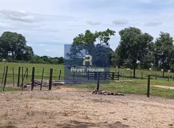 Fazenda à venda, na Região do Municipio de Santo Antonio do Leverger  MT