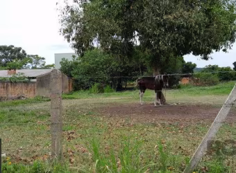 Terreno com 1.000m² , dimensões de 20x50,