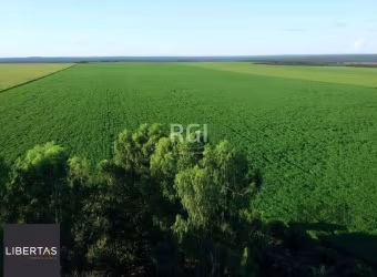 Fazenda à venda Centro Sapezal/MT