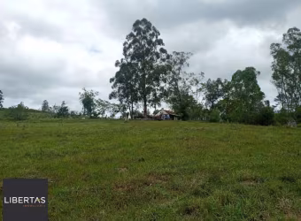 Sítio 3 dormitórios à venda Florida Guaíba/RS