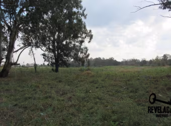 Área à venda, 85000 m² por R$ 42.500.000,00 - Planta Quississana - São José dos Pinhais/PR