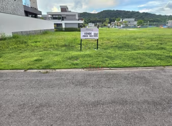 Terreno à venda, 312 m² por R$ 865.000,00 - Pedra Branca - Palhoça/SC