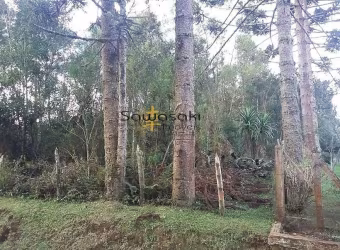 Terreno Lote para Venda em Rio de Una São José dos Pinhais-PR