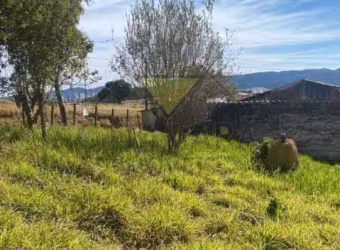 Terreno à venda na Vila Nova Aparecida, Mogi das Cruzes , 1000 m2 por R$ 359.000