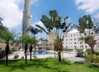 Apartamento com 2 dormitórios à venda, 54 m² por R$ 290.000,00 - Roçado - São José/SC