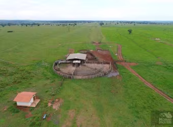 Fazenda para Venda em Cassilândia, (Fazendinha)