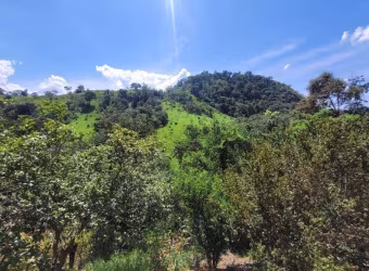 Chácara com 2 dormitórios à venda, 4000 m² por R$ 450.000,00 - Condomínio Quintas Das Águas Claras - Brumadinho/MG