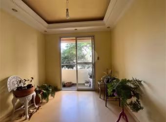 Apartamento com 3 quartos à venda em Vila Nova Cachoeirinha - SP