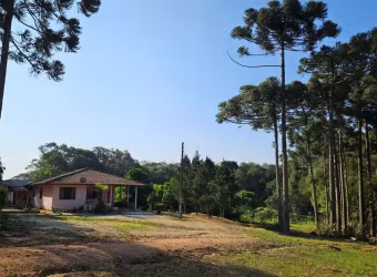 Chácara para venda em Guajuvira de 187.00m² com 3 Quartos