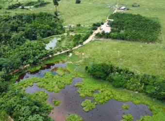 FAZENDA EXCELENTE EM NOVO PROGRESSO/PA