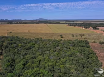 FAZENDA INCRÍVEL EM ALVORADA/TO