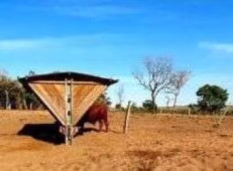 FAZENDA  PARA PECUÁRIA IMPERDÍVEL EM SÃO VALÉRIO DA NATIVIDADE/TO