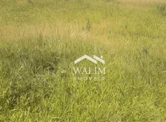 ?? Terreno de 183 hectares em Iguatama/MG: Potencial Agrícola e Localização Estratégica!??