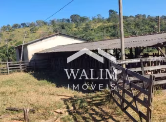 FAZENDA DE 123 HECTARES À VENDA EM SÃO VICENTE (BALDIM) – OPORTUNIDADE ÚNICA PARA AGROPECUÁRIA E INVESTIMENTO!