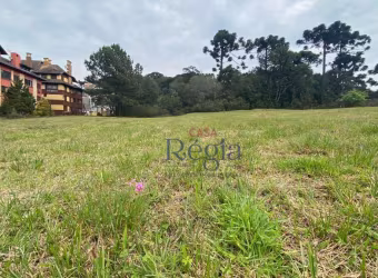 Terreno à venda, 1294 m² por R$ 2.400.000,00 - Centro - Canela/RS