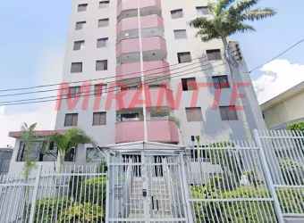Apartamento de 60m² com 3 quartos em Vila Amalia