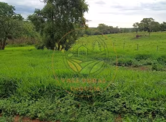 EXCELENTE FAZENDA DE 53 ALQUEIRES EM RIO QUENTE-GO FA00192