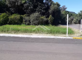Terreno de esquina, com fácil acesso, a venda em Picada Café, na Serra Gaúcha