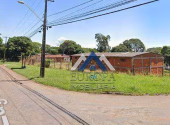 Barracão, 1300 m² - venda por R$ 6.000.000,00 ou aluguel por R$ 11.000,01/mês - Cilo 3 - Londrina/PR