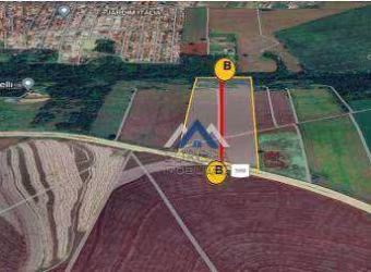 Área à venda, 145200 m² por R$ 6.000.000,00 - Jardim Cidade Nova - Rolândia/PR