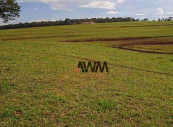 Fazenda à venda, 1597200 m² por R$ 10.230.000,00 - Zona Rural - Americano do Brasil/GO