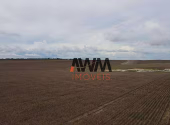Fazenda à venda, 19989200 m² por R$ 35.000.000,00 - Zona Rural - Brejinho de Nazaré/TO