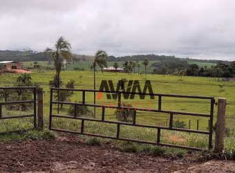Fazenda à venda, 726000 m² por R$ 7.500.000,00 - Setor Leste - Anicuns/GO