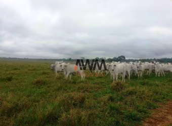 Fazenda à venda, 21000 m² por R$ 450.000.000,00 - Novo Diamantino - Diamantino/MT