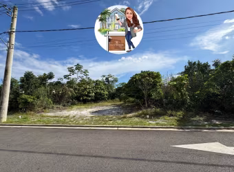 VENDO LOTE MOSAICO PONTA NEGRA
