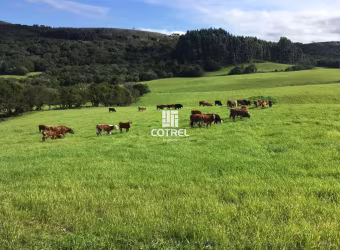 Fazenda com 609 hectares para pecuária em Santana da Boa Vista/RS