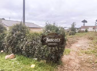 Terreno à venda, 675 m² por R$ 199.000,00 - Borda Do Campo - São José dos Pinhais/PR