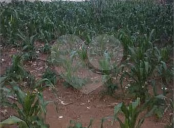 Terreno à venda em Jardim Bandeirantes - SP