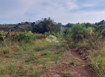 Área rural na via trento Vale dos Vinhedos