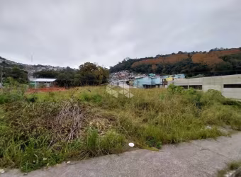 Terreno plano