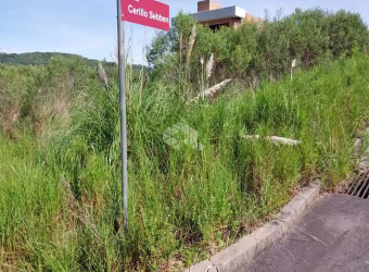 Terreno Loteamento Residencial Reserva Palmeiro