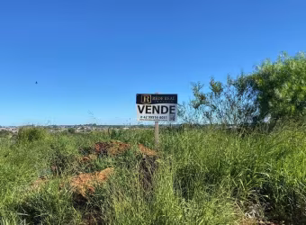 Terreno para Venda em Guarapuava, Vila Carli