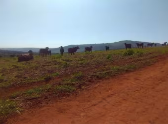 Fazenda à venda na estrada vicinal, 1010, Centro, Pedregulho por R$ 26.450.000