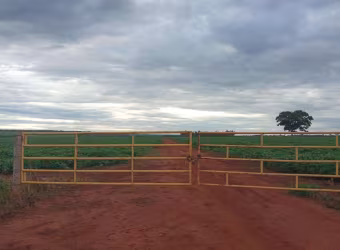 Chácara / sítio à venda na Vicinal, 1020, Centro, São Francisco de Sales por R$ 11.800.000