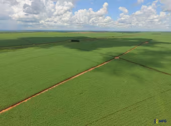 Fazenda à venda na Mirandópolis, Zona Rural, Mirandópolis por R$ 50.690.000