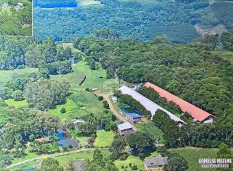 Granja porteira fechada a venda