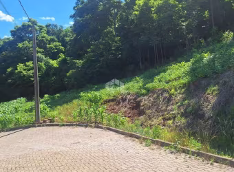 Terreno com 464,02 m2 em área arborizada na serra gaúcha