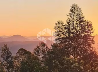 Chácara de 1,5 ha em Nova Petrópolis