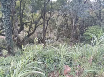 Terreno próximo ao centro em Nova Petrópolis