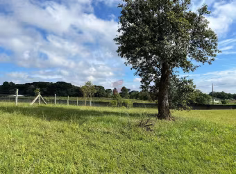 Terreno em condomínio fechado à venda na Rua Padre Phelippe Ledet, s/n, Planta Laranjeiras, Piraquara, 3672 m2 por R$ 660.000