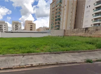 Terreno Padrão