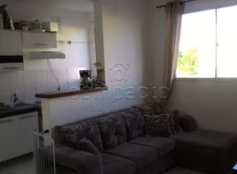 Apartamento Padrão em São José do Rio Preto