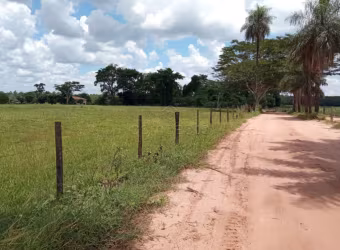 Sítio em Cedral/SP