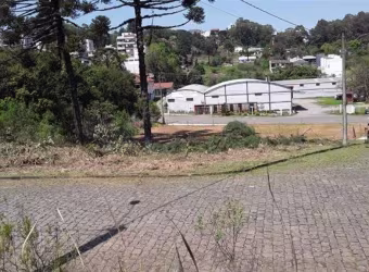 Excelente terreno de esquina, plano, com posição solar oeste/norte.  Área total: 597,13m.  Consulte-nos!