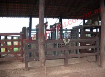Venda ZonaRural São Félix do Araguaia/MT